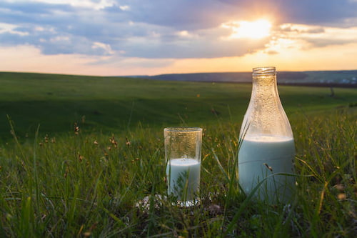 تصویر 5 از قیمت خرید دوغ یخچالی با فروش عمده